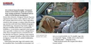 A betegség fék volt, a trauma ajándék | Interjú Dr. Tábor Istvánnal a Gyógyulás Másképp magazinban